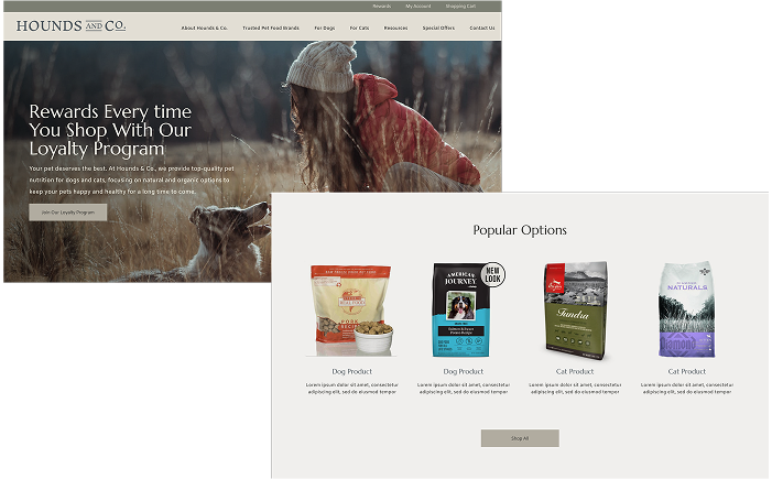 SPARK Case Studies LosLagos Hero 1